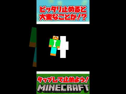 ピッタリ止めるとヤバい事が！？【マイクラ・まいくら・Minecraft】#shorts