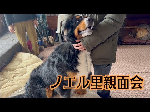 ノエル里親さん面会