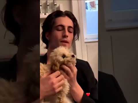 Damiano with dog 😍💗. # #maneskin #music #damianodavid #damiano