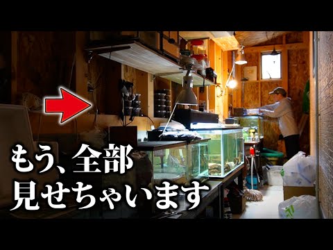 生き物系ユーチューバーの飼育ルーティン