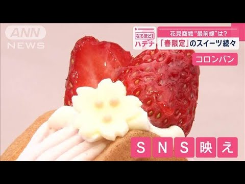 花見商戦“最前線”は？　「花見弁当」100種が集結！　「春限定」のスイーツ続々【スーパーJチャンネル】(2025年3月13日)