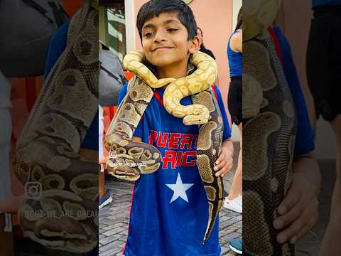 Never thought I would hold snakes 😳 #oldsanjuanpuertorico #adventure  #traveldiaries #puertorico