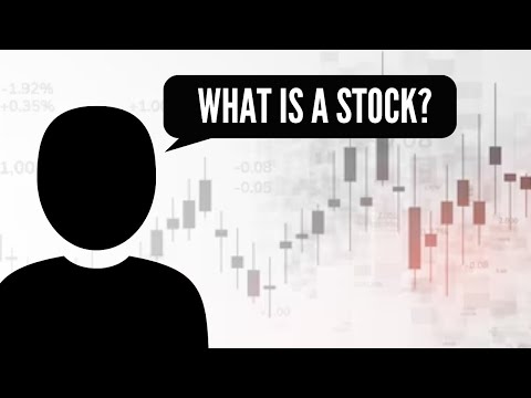 What Is A Stock? How Does The Stock Market Work?