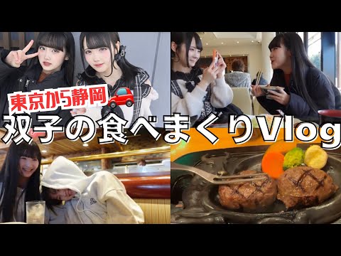 Tokyo to Shizuoka🚗 Eating-Filled Vlog [Aimio]