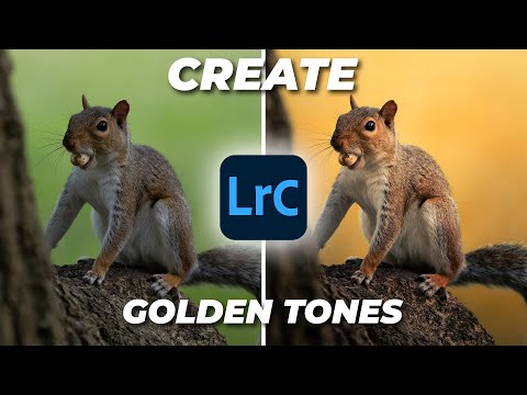 How To Create GOLDEN TONES in Lightroom | Tutorial Tuesday