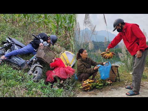 Single mother: Harvest bananas to sell - take care of sick grandmother - daily life