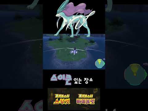 포켓몬스터 스칼렛 바이올렛 스이쿤 잡는 곳 #shorts #pokemon #스이쿤 #スイクン #Suicune