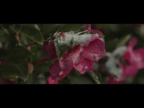 SNOWY Morning EOS M Magiclantarn 5.2k  anamorphic raw 【canon fd 55mm f1.2 S.S.C】sample footage