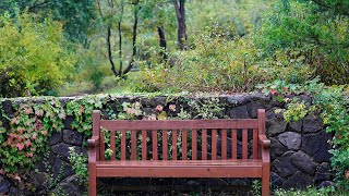 Heavy rain in UK | Heavy rain window | Rain sounds for sleeping | UK (Milton Keynes) rain garden