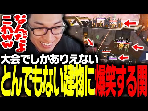 ALGSでしか見られない、密度最高潮のファイトに思わず笑う関優太【Apex Legends】