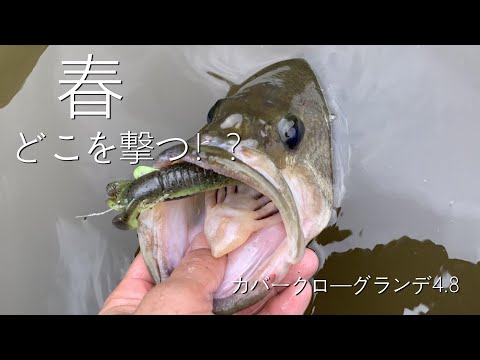 どこ撃つ！？春の亀山ダム　カバークロ―グランデ4.5（バス釣り）