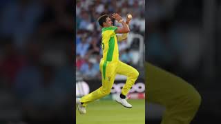 TOP 3 WORLD CLASS BOLLOWER#cricket #cricketnews#cricketlover#fact#cricketfact#bowling#youtubeshorts