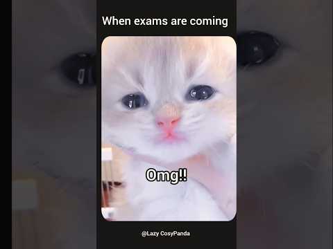 When exams are coming...