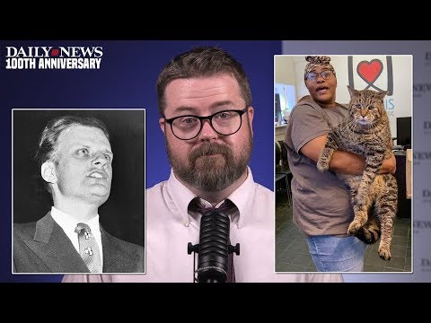 DAILY NEWS WEEKLY: Philadelphia fat cat; and a ‘Billy Graham rule’ lawsuit