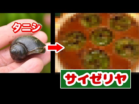 French delicacy with river snails *yummy*【ENG SUB】