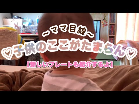 【癒し動画】私はこれで頑張れる