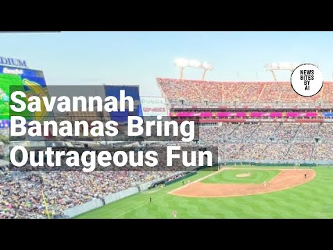 Tampa Bay Stadium Hosts Savannah Bananas: A Wild Baseball Adventure