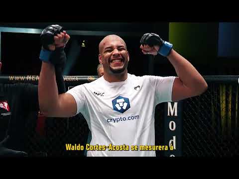 Bande-annonce de l'UFC St-Louis : Lewis vs Nascimento (0:15)