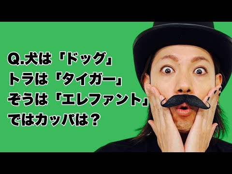 【言葉巧み系なぞなぞ】犬は「ドッグ」トラは「タイガー」、ぞうは「エレファント」、ではカッパは？【SLH】