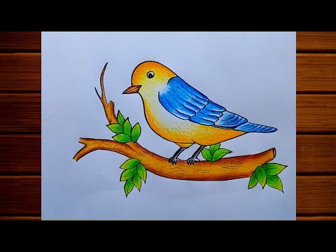 How to draw Bird step by step| Bird drawing for Beginners| Bird scenery drawing| Easy Bird drawing