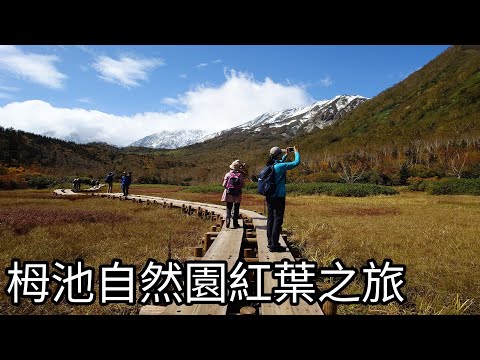 日本中部山岳國立公園：栂池自然園紅葉之旅