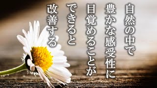 【お釈迦様の教え】苦悩と現実＜維摩會管長の修行問答＞