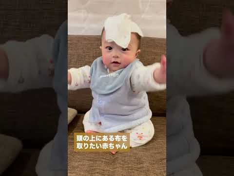 頭の上にある布を取りたい赤ちゃん（生後6ヶ月） #shorts