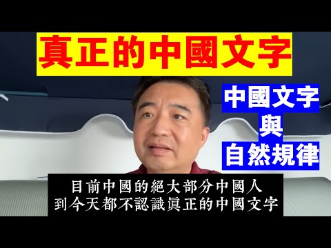 翟山鹰：什麼是真正的中國文字丨中國文字與自然規律