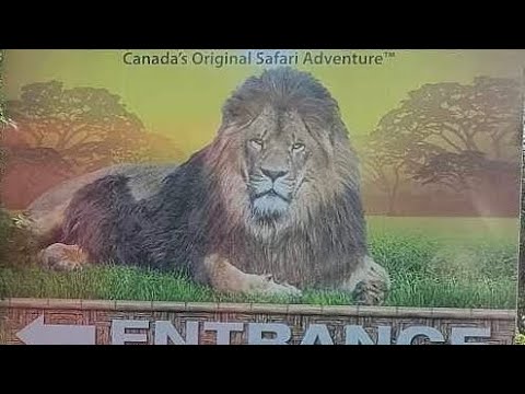 Trip Vlog: African Lion Safari Cambridge,Canada