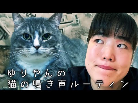 ゆりやんの猫の鳴き声ルーティン /YURIYAN's Routine ~Meow of a Cat~