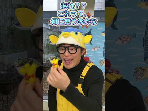 ギョギョッとサカナ★スター！NHK Eテレ 5月4日(土) 午前9時30分～【挑戦！釣り＆はく製づくり】 #shorts  #さかなクン