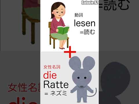 ドイツ🇩🇪語で「読むネズミ」ってどんな人のこと？🤔 #shorts #ドイツ語 #ショート動画