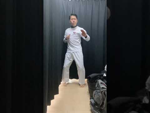 他人の形に合わせて自己流の形を演武してみた#shorts #karate #kata #sports #空手