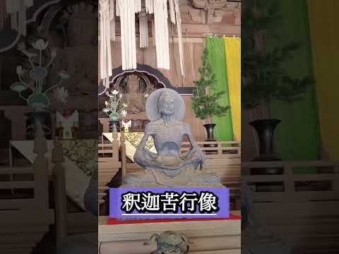 鎌倉建長寺けんちん汁発祥地稲荷神社に狸が！禅ZEN #Shorts