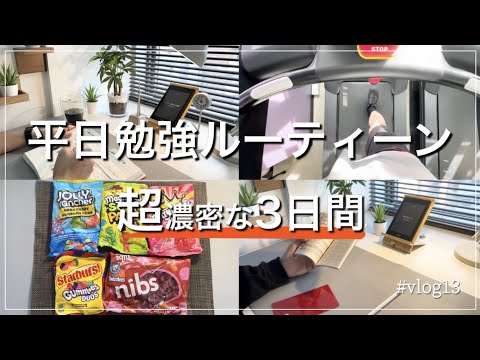 【Study vlog】"有給期間最後"の平日勉強ルーティーン STUDY VLOG #13