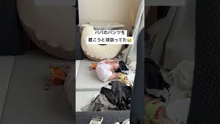 【爆笑】パパのパンツを履こうと必死な赤ちゃん😂#shorts #生後6ヶ月