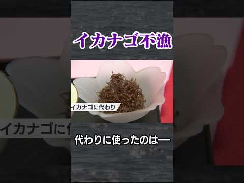 イカナゴが獲れない！そこで・・・　老舗の工夫 #abcテレビ #ニュース