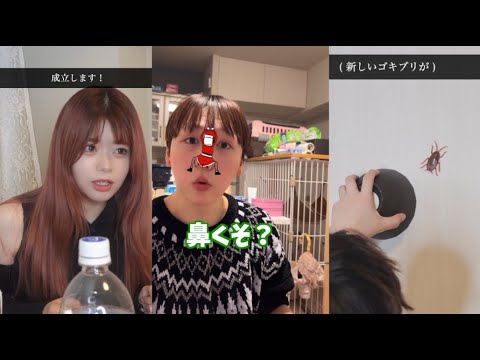 鼻がwww 【きょんぺいcpの動画まとめ】【ショートドラマ】