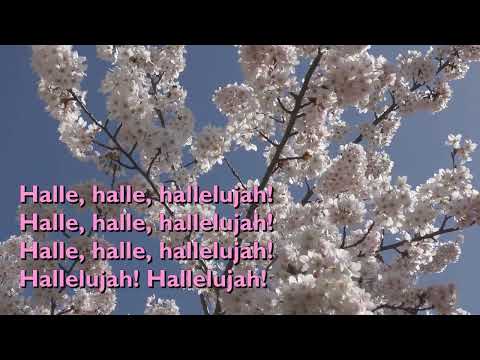 Halle, Halle, Hallelujah with lyrics for congregations