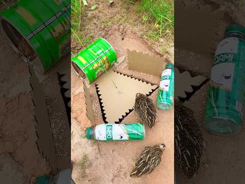 New Unique Bird Trap #diy_creative #shorts