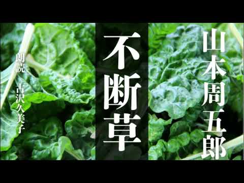 【朗読】山本周五郎「不断草」