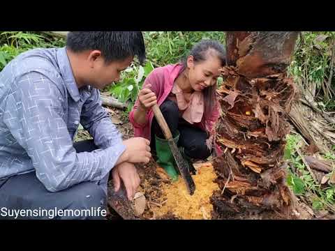 Surviving in the forest, the girl met her boyfriend and received help and gifts - Suyen single mom