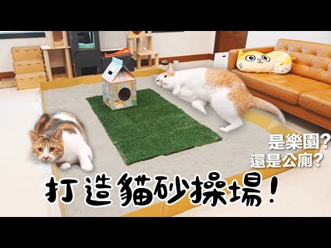 【黃阿瑪的後宮生活】打造貓砂操場！是樂園還是公廁？