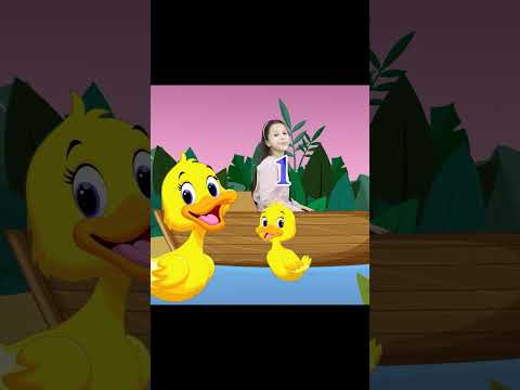 5 Küçük Ördek Çocuk Şarkısı - Five Little Ducks | Nursery Rhymes for Kids | Simple Songs | SH Kids