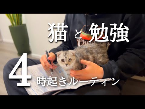 【朝活ルーティン#127】筋トレ&勉強ルーティン【朝活】