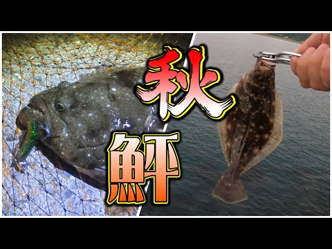 【北海道ヒラメ釣行2024】函館：ナイトロック＆朝まずめで秋ヒラメ！そして海峡サーフで鮭釣り師さんへのエサ(サバ)確保w