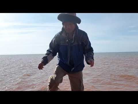 Fishing at Charlottetown pei