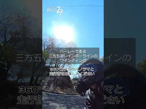 ハーレーの360°パノラマ #shorts #vlog #バイク #スポーツスターS #ハーレーダビッドソン #harleydavidson