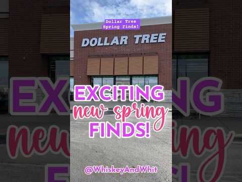 🚨NEW SPRING DOLLAR TREE DIY AND DECOR FINDS THAT ARE WORTH BUYING : Spring & Easter ✨