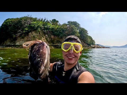 Japanese Fisherman's Uninhabited Island Camping! Eat Giant Squid!